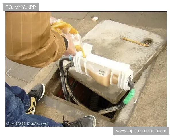 如何正确进行老虎机接线确保设备稳定运行