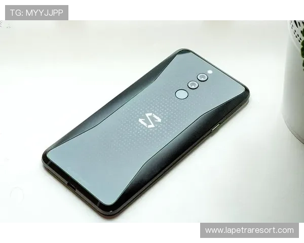 MG老虎2.0说明书详细解读与操作指南，帮助玩家快速掌握游戏核心玩法