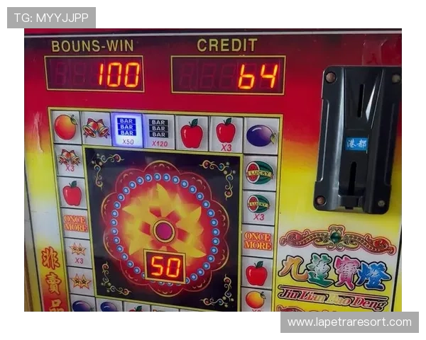 提升游戏胜率的bar老虎机单机游戏攻略与技巧分享帮助玩家轻松获胜